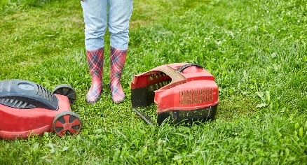 Podadora eléctrica vs podadora a gas ¿Cuál conviene?