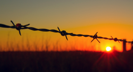 5 usos prácticos del alambre de púas en agricultura y seguridad