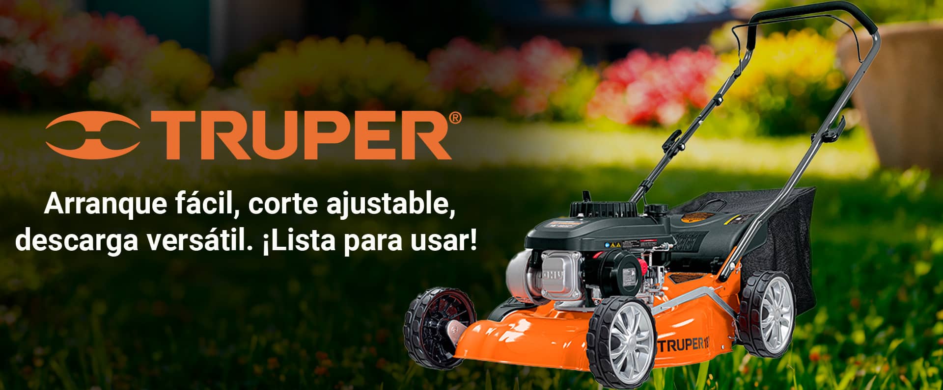 Slide Image Elektron